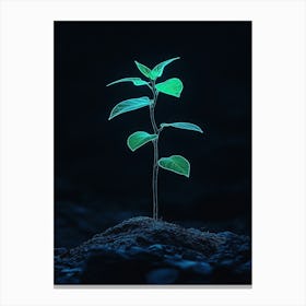 Small Green Plant On Dark Background 2 Canvas Print