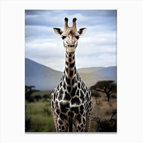 Color Photograph Of Giraffe Canvas Print