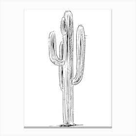 Cactus Isolated On White Canvas Print