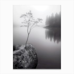 Lone Tree In Fog Canvas Print