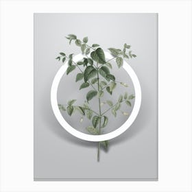 Vintage Tree Fuchsia Minimalist Botanical Geometric Circle on Soft Gray n.0233 Canvas Print