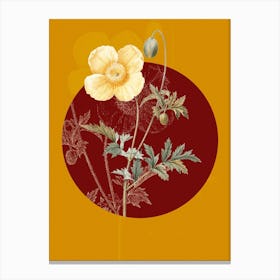 Vintage Botanical Welsh Poppy Meconopsis Cambrica on Circle Red on Yellow n.0105 Canvas Print
