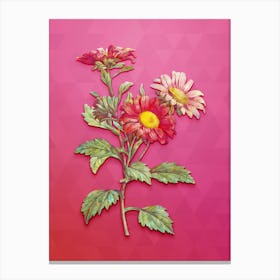 Vintage Red Aster Flowers Botanical Art on Beetroot Purple n.0433 Canvas Print