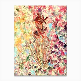 Impressionist Yellow Asphodel Botanical Painting in Blush Pink and Gold Canvas Print