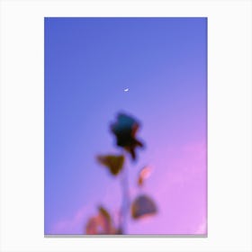 Roses on the moon Canvas Print