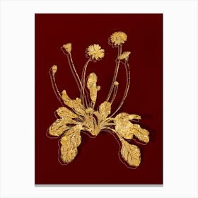 Vintage Daisy Flowers Botanical in Gold on Red n.0222 Canvas Print