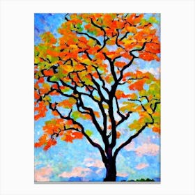 Japanese Zelkova 1 tree Abstract Block Colour Canvas Print