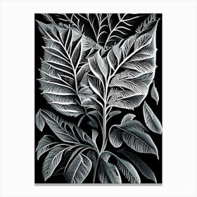 Australian Native Mint Leaf Linocut 3 Canvas Print