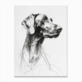 Weimaraner Dog Charcoal Line 3 Canvas Print