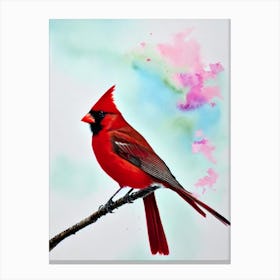 Northern Cardinal 2 Watercolour Bird Canvas Print
