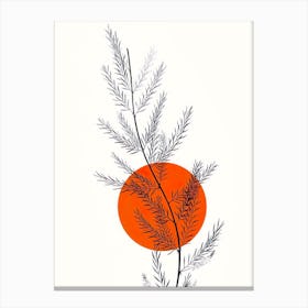 Spruce Tree Canvas Print