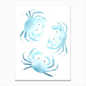 Blue Crabs Canvas Print