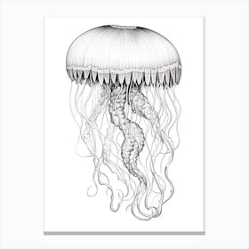 Mauve Stinger Jellyfish Drawing 2 Canvas Print