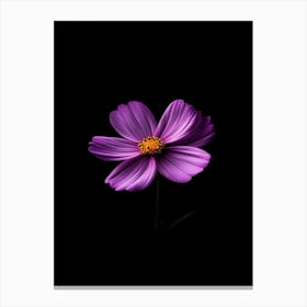 Purple Flower On Black Background Canvas Print