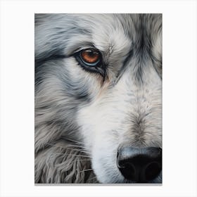 Himalayan Wolf Eye 4 Canvas Print