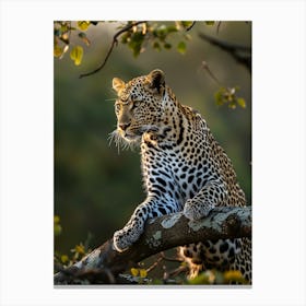 Leopard In A Tree Canvas Print