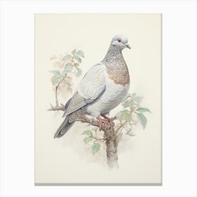 Vintage Bird Drawing Pigeon 3 Canvas Print