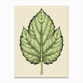 Leaf Illustration 2 Canvas Print