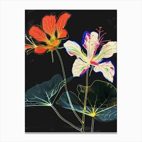 Neon Flowers On Black Nasturtium 3 Canvas Print
