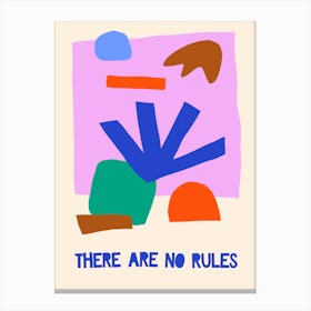 There Are No Rules Canvas Print