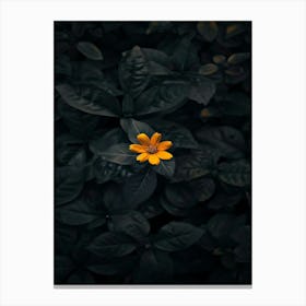 Single Yellow Flower 47 Canvas Print