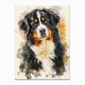 Bernese Mountain Dog Watercolor Painting 2 Canvas Print