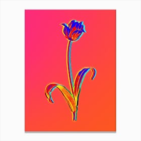 Neon Didier's Tulip Botanical in Hot Pink and Electric Blue n.0424 Canvas Print