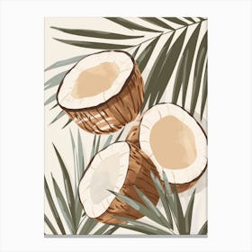 Coconut Close Up Illustration 2 Canvas Print