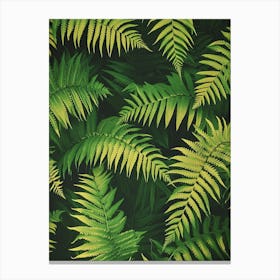 Pattern Poster Leatherleaf Fern 3 Canvas Print