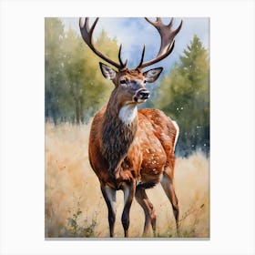 Red Deer Canvas Print