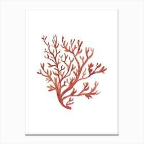 Red Coral Canvas Print