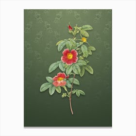 Vintage Single May Rose Botanical on Lunar Green Pattern n.0658 Canvas Print