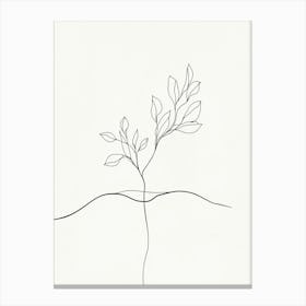 Tree Grows Canvas Print