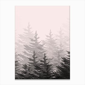 Pine Trees In The Fog Canvas Print