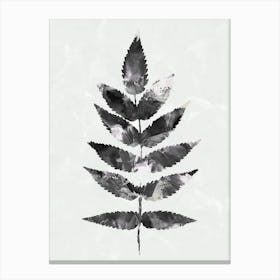 Black White Botanical Watercolour Leave Canvas Print