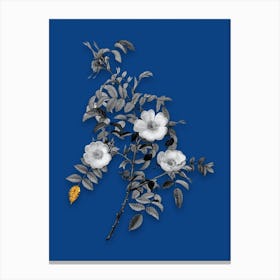 Vintage Reddish Rosebush Black and White Gold Leaf Floral Art on Midnight Blue n.0191 Canvas Print