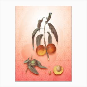 Walnut Peach Vintage Botanical in Peach Fuzz Asanoha Star Pattern n.0059 Canvas Print