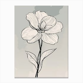 Daffodils Line Art Flowers Illustration Neutral 1 Canvas Print