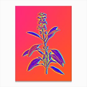 Neon Sage Plant Botanical in Hot Pink and Electric Blue n.0044 Canvas Print