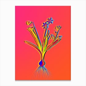 Neon Scilla Amoena Botanical in Hot Pink and Electric Blue Canvas Print