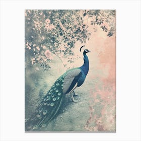 Vintage Peacock On A Path Cyanotype Inspired 2 Canvas Print