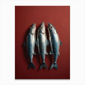 Three Sardines On A Red Background Canvas Print