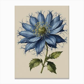 Blue Clematis Canvas Print