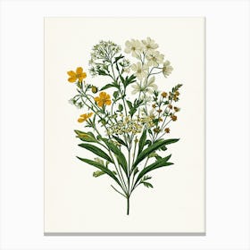 Vintage Botanical Galleria Style Wildflower Painting 9 Canvas Print