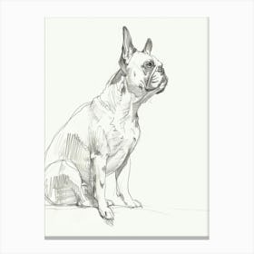Dog Grey Line Sketch Canvas Print