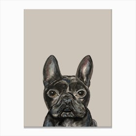 Black French Bulldog Watercolour Illustration Pet Dog Leinwandbild