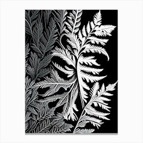 Hemlock Needle Leaf Linocut 3 Canvas Print
