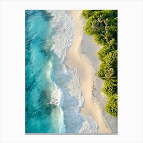 Aerial View Of A Tropical Beach 16 Canvas Print