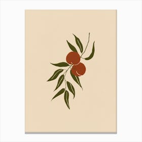 Fruit Tree Branch No 561 Canvas Print