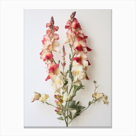 Pressed Flower Botanical Art Snapdragon 3 Canvas Print